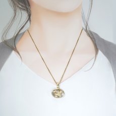 画像4: タイチンルチルクォーツ ペンダントトップ  SV925 ブラジル産【一点もの】Taichin rutile 希少 針水晶 スターバーストルチル ゴールド 浄化 お守り 天然石 パワーストーン (4)