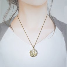 画像4: タイチンルチルクォーツ ペンダントトップ  SV925 ブラジル産【一点もの】Taichin rutile 希少 針水晶 スターバーストルチル ゴールド 浄化 お守り 天然石 パワーストーン (4)