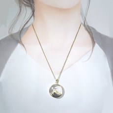 画像4: タイチンルチルクォーツ ペンダントトップ  SV925 ブラジル産【一点もの】Taichin rutile 希少 針水晶 ルチル ゴールド 浄化 お守り 天然石 パワーストーン (4)