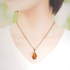 画像4: アンバー ペンダントトップ SV925 リトアニア産 【一点もの】 Amber 天然アンバー 琥珀 内包物 植物 天然石 パワーストーン カラーストーン (4)
