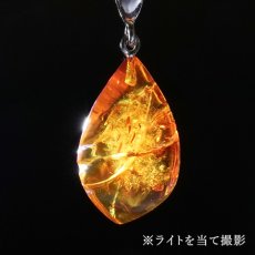 画像3: アンバー ペンダントトップ SV925 リトアニア産 【一点もの】 Amber 天然アンバー 琥珀 内包物 植物 天然石 パワーストーン カラーストーン (3)