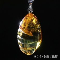 画像3: アンバー ペンダントトップ SV925 リトアニア産 【一点もの】 Amber 天然アンバー 琥珀 内包物 植物 天然石 パワーストーン カラーストーン (3)