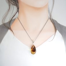 画像4: アンバー ペンダントトップ SV925 リトアニア産 【一点もの】 Amber 天然アンバー 琥珀 内包物 植物 天然石 パワーストーン カラーストーン (4)