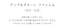 画像2: アップルグリーンファントム　大粒レアさざれ100g　成功・金運 (2)