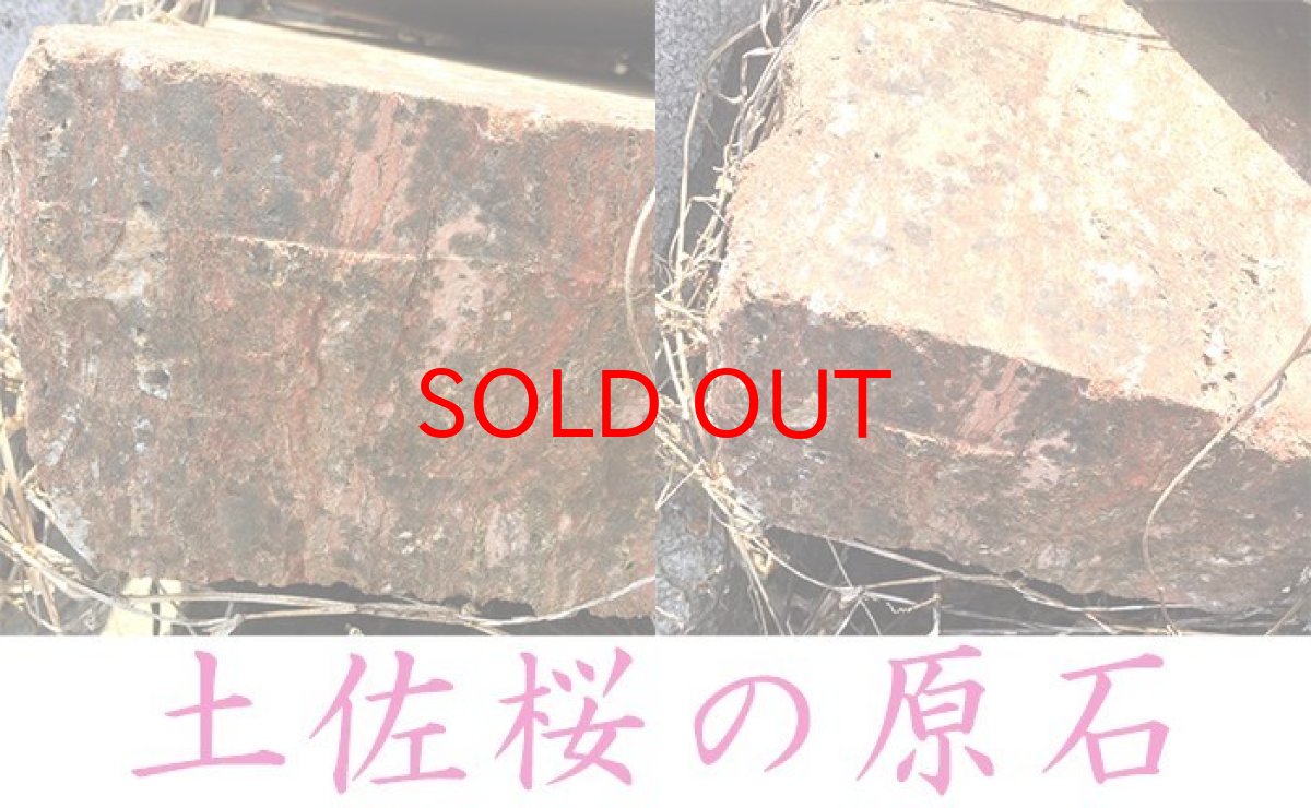 画像4: 【日本の石】【レア】土佐桜　ラフ小サイズ（約8-10mm) ブレスレット【高知県】 (4)