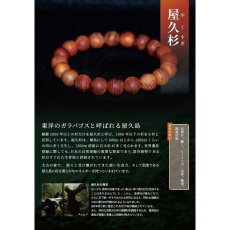 画像6: 屋久杉 ブレスレット 12mm 世界遺産 樹齢1000年 太古 生命力 エネルギー 神秘 (6)