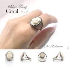 画像1: 【送料無料】珊瑚 コーラル サンゴリング 指輪 サンゴ リング シルバーリング フリーサイズ ring 13号 天然石 (1)