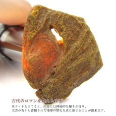 画像3: 【一点物】 天然琥珀 アンバー 原石 置き物 アンバー原石 植物の化石 樹脂の化石 リトアニア産 長寿 太陽 天然石 パワーストーン amber【送料無料】 (3)