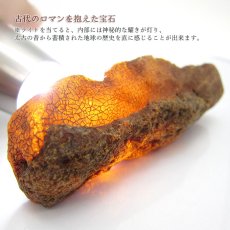 画像3: 【一点物】 天然琥珀 アンバー 原石 置き物 アンバー原石 植物の化石 樹脂の化石 リトアニア産 長寿 太陽 天然石 パワーストーン amber【送料無料】 (3)