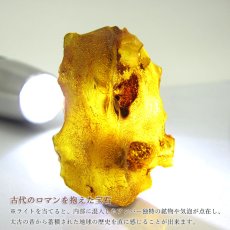 画像3: 【一点物】 天然琥珀 アンバー 原石 置き物 アンバー原石 植物の化石 樹脂の化石 リトアニア産 長寿 太陽 天然石 パワーストーン amber【送料無料】 (3)