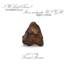 画像1: 【一点物】 NWA 859(Taza) モロッコ産 鉄隕石 UNGR Iron meteorite (1)