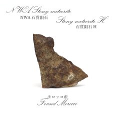 画像1: 【一点物】 NWA石質隕石 モロッコ産 石質隕石H Stony meteorite (1)