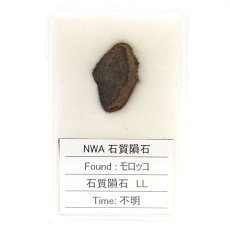 画像3: 【一点物】 NWA石質隕石 モロッコ産 石質隕石LL Stony meteorite (3)
