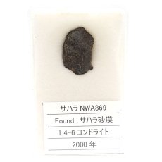 画像3: 【一点物】 サハラ NWA869 サハラ砂漠産 L4-6コンドライト sahara chondrite (3)