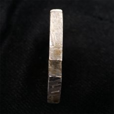 画像4: 【一点物】 アルタイ隕石 新疆隕石 プラス 彫り物 プレート Altai (Xinjiang) meteorite plus Plate (4)