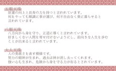 画像12: 【一粒売り】 天珠 ジービーズ 約30mm チベット 瑪瑙 めのう メノウ 天然石 パワーストーン Dzi bead (12)