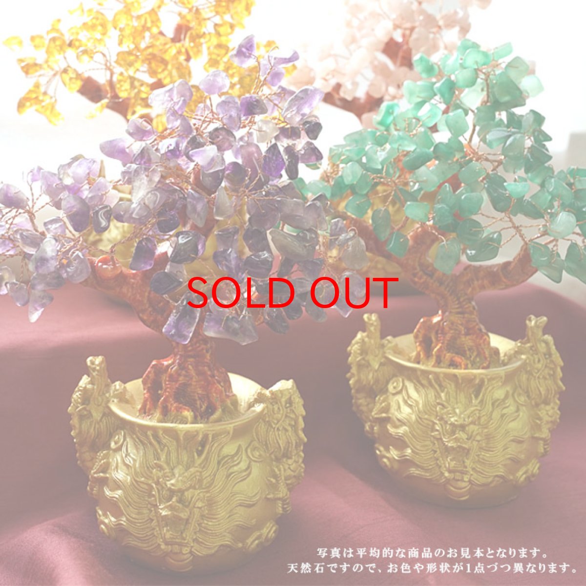 画像6: 招財樹 【 金のなる木 】 風水 アイテム 置物 玄関 インテリア 龍 ドラゴン 正月 新年 飾り物  金運 財運 アップ 浄化 置き物 天然石 パワーストーン 【 新春アイテム 】 (6)