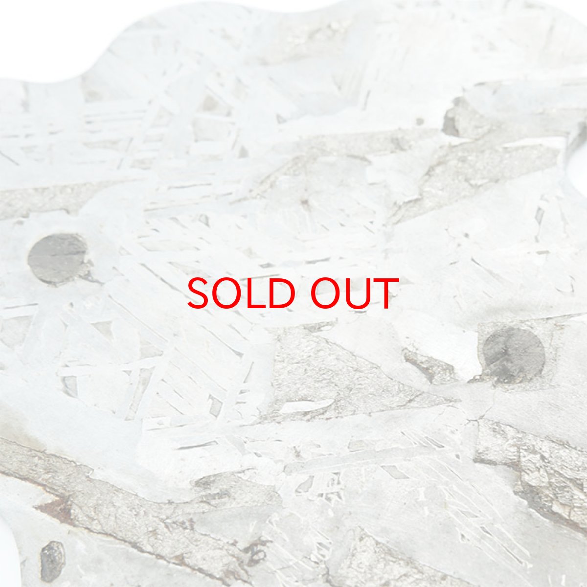 画像3: 【一点物】 アルタイ隕石 新疆隕石 プレート Altai (Xinjiang) meteorite Plate (3)