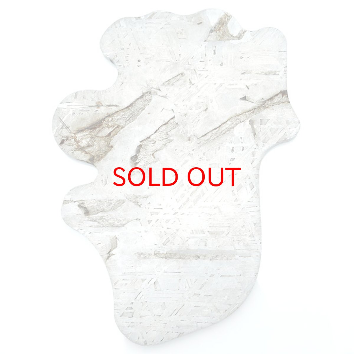 画像2: 【一点物】 アルタイ隕石 新疆隕石 プレート Altai (Xinjiang) meteorite Plate (2)