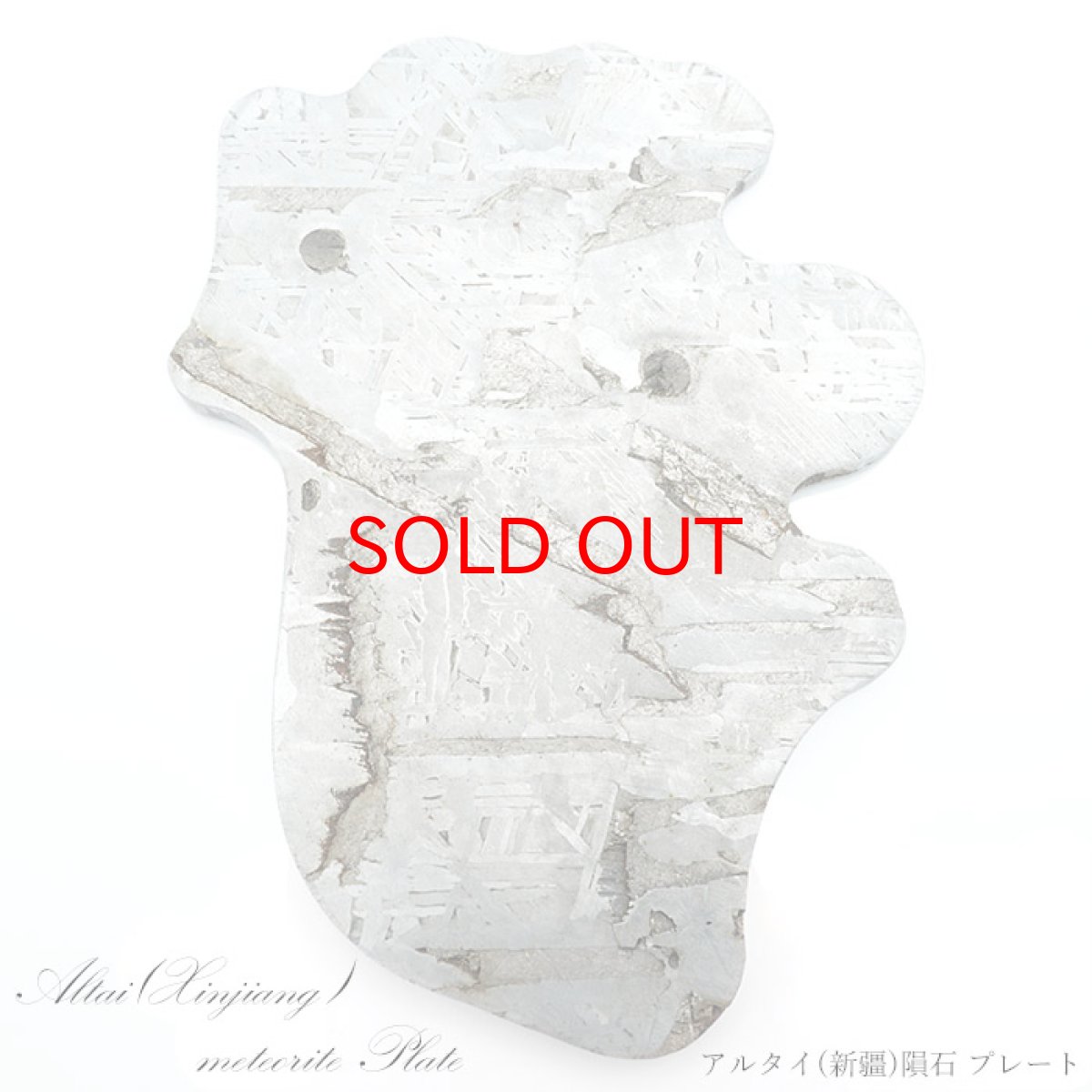 画像1: 【一点物】 アルタイ隕石 新疆隕石 プレート Altai (Xinjiang) meteorite Plate (1)