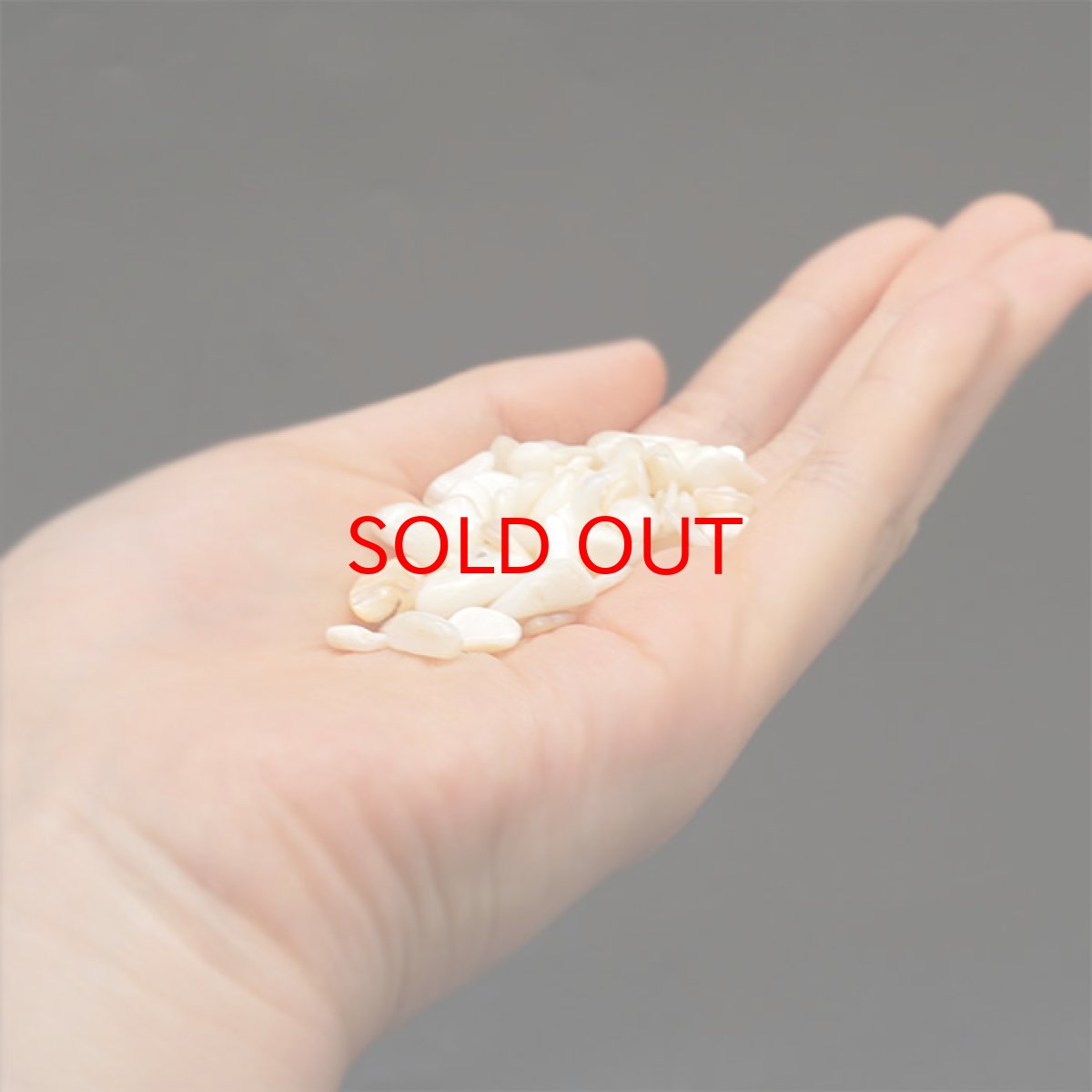 画像3: さざれ100g シェル 貝 天然石 パワーストーン (3)