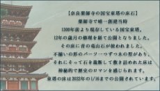 画像8: 【日本の石】タツナイト黄ブレスレット12mm【兵庫県】 (8)