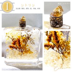 画像5: ストーンパルファム Stone Parfum 天然石入りハーバリウムボトル 選べる７種類【 送料無料 】  香水瓶 ハーバリウム さざれ石 入り 置物 ディスプレイ 小物 雑貨 贈り物 (5)