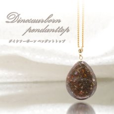 画像1: 【 一点もの 】ダイナソーボーン ペンダントトップ K18 アメリカ産 日本製  ネックレス お守り 浄化 天然石 パワーストーン (1)