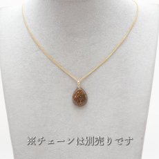 画像3: 【 一点もの 】ダイナソーボーン ペンダントトップ K18 アメリカ産 日本製  ネックレス お守り 浄化 天然石 パワーストーン (3)