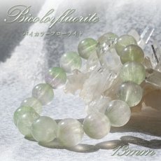 画像1: 【 一点物 】 バイカラーフローライト ブレスレット 中国産 丸玉 13mm 13号 Bicolor Fluorite フローライト 蛍石 天然石 パワーストーン (1)