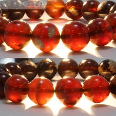 画像3: タイガーアンバー ブレスレット インドネシア産 丸玉 12mm 【 一点もの 】amber アンバー スマトラ琥珀 植物の化石 天然石 パワーストーン (3)