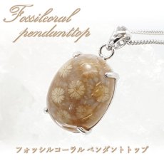 画像1: フォッシルコーラル ペンダントトップ 珊瑚 化石 インドネシア産 日本製 Fossil coral 【 1点もの 】 ネックレス ペンダント シルバー necklace pendant 浄化 お守り 天然石 パワーストーン カラーストーン (1)