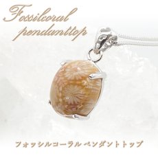 画像1: フォッシルコーラル ペンダントトップ 珊瑚 化石 インドネシア産 日本製 Fossil coral 【 1点もの 】 ネックレス ペンダント シルバー necklace pendant 浄化 お守り 天然石 パワーストーン カラーストーン (1)