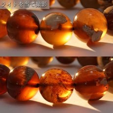 画像3: タイガーアンバー ブレスレット インドネシア産 丸玉 14mm 【 一点もの 】amber アンバー スマトラ琥珀 植物の化石 天然石 パワーストーン カラーストーン (3)