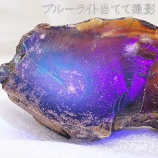 画像3: スマトラブルーアンバー 原石 インドネシア産 【 一点もの 】amber アンバー スマトラ産 琥珀 植物の化石 天然石 パワーストーン カラーストーン (3)