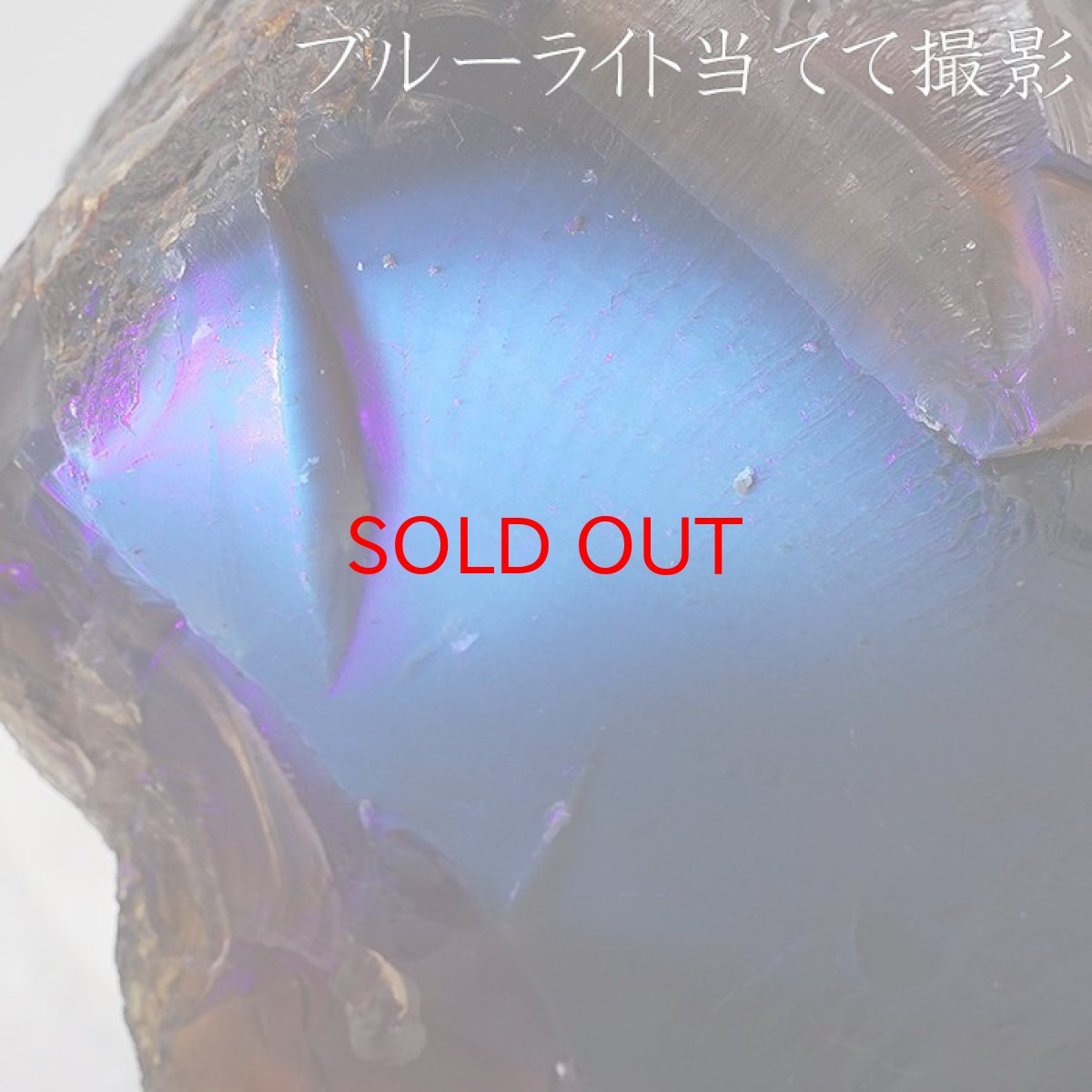 画像6: スマトラブルーアンバー 原石 インドネシア産 【 一点もの 】amber アンバー スマトラ産 琥珀 植物の化石 天然石 パワーストーン カラーストーン (6)