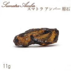 画像1: スマトラブルーアンバー 原石 インドネシア産 【 一点もの 】amber アンバー スマトラ産 琥珀 植物の化石 天然石 パワーストーン カラーストーン (1)