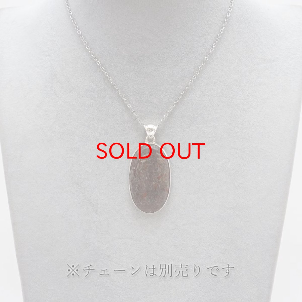 画像4: ダイナソーボーン ペンダントトップ アメリカ産 Dinosaur Bone 日本製 SV925 【 1点もの 】 ネックレス ペンダント シルバー necklace pendant 浄化 お守り 天然石 パワーストーン カラーストーン (4)