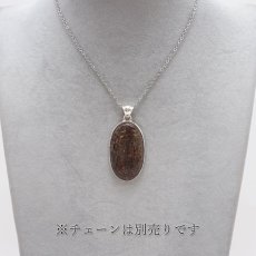 画像4: ダイナソーボーン ペンダントトップ アメリカ産 Dinosaur Bone 日本製 SV925 【 1点もの 】 ネックレス ペンダント シルバー necklace pendant 浄化 お守り 天然石 パワーストーン カラーストーン (4)