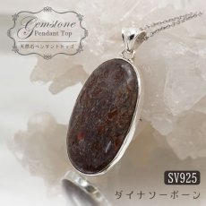 画像1: ダイナソーボーン ペンダントトップ アメリカ産 Dinosaur Bone 日本製 SV925 【 1点もの 】 ネックレス ペンダント シルバー necklace pendant 浄化 お守り 天然石 パワーストーン カラーストーン (1)