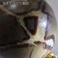 画像4: セプタリアン 丸玉 Septarian 10cm マダガスカル  泥灰岩 天然石 パワーストーン インテリア 風水 置物 魔除け (4)