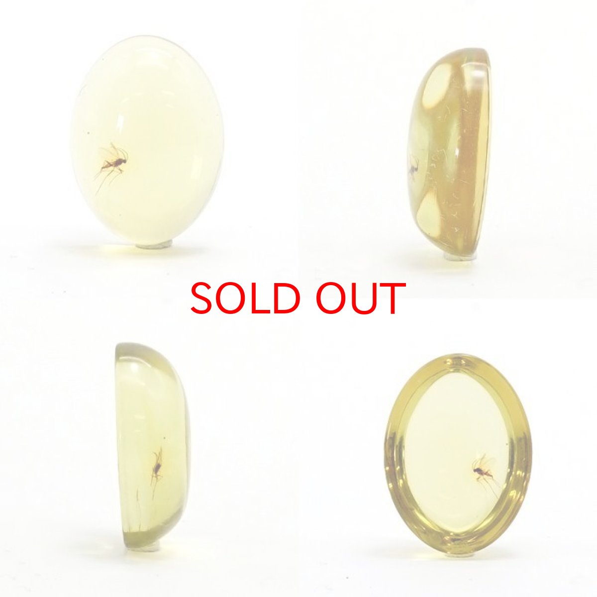 画像2: 【一点物】天然琥珀 天然カリビアンアンバー ルース【虫入り】 カリブ海周辺産 ゴールド 長寿 太陽 天然石 パワーストーン カラーストーン (2)