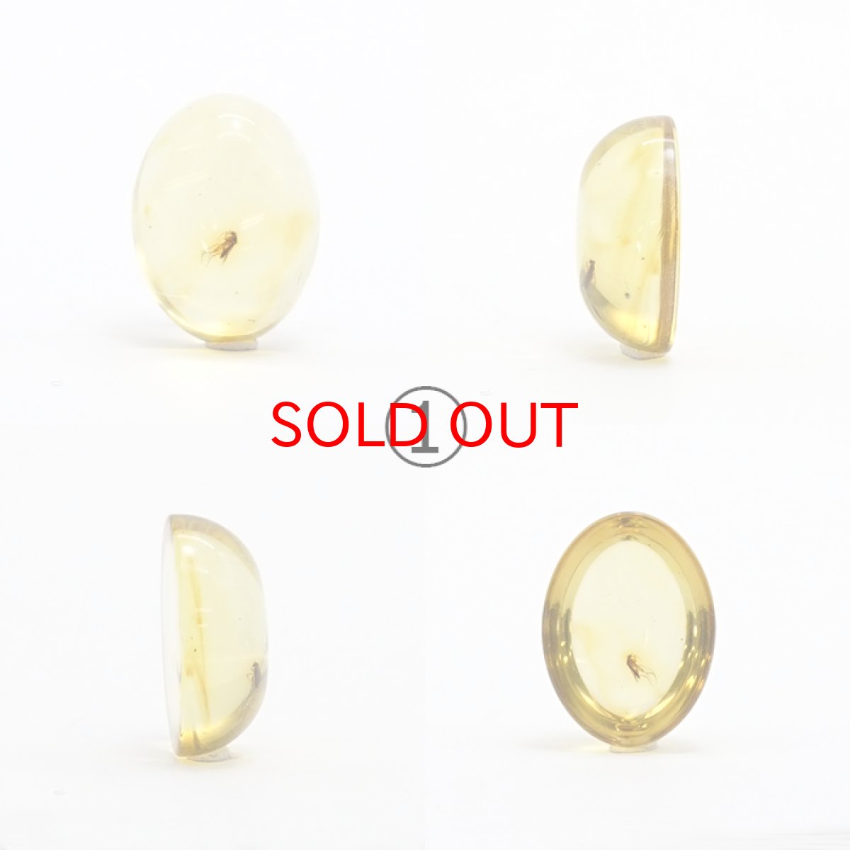 画像2: 【一点物】天然琥珀 天然カリビアンアンバー ルース【虫入り】 カリブ海周辺産 ゴールド 長寿 太陽 天然石 パワーストーン カラーストーン (2)