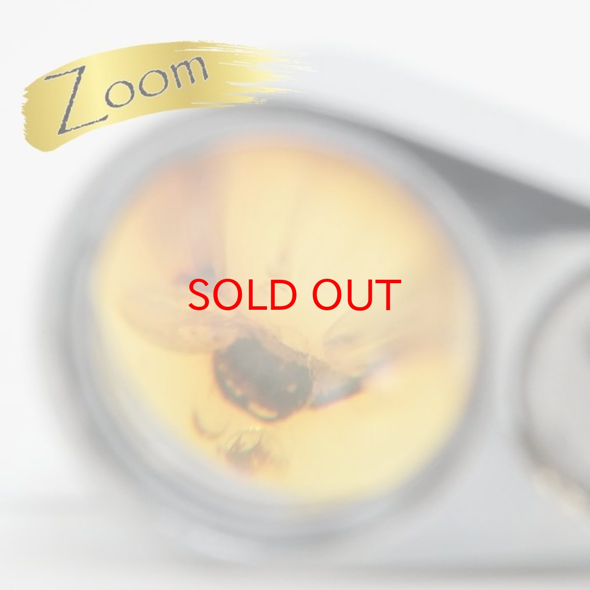 画像11: 【一点物】天然琥珀 天然カリビアンアンバー ルース【虫入り】 カリブ海周辺産 ゴールド 長寿 太陽 天然石 パワーストーン カラーストーン (11)