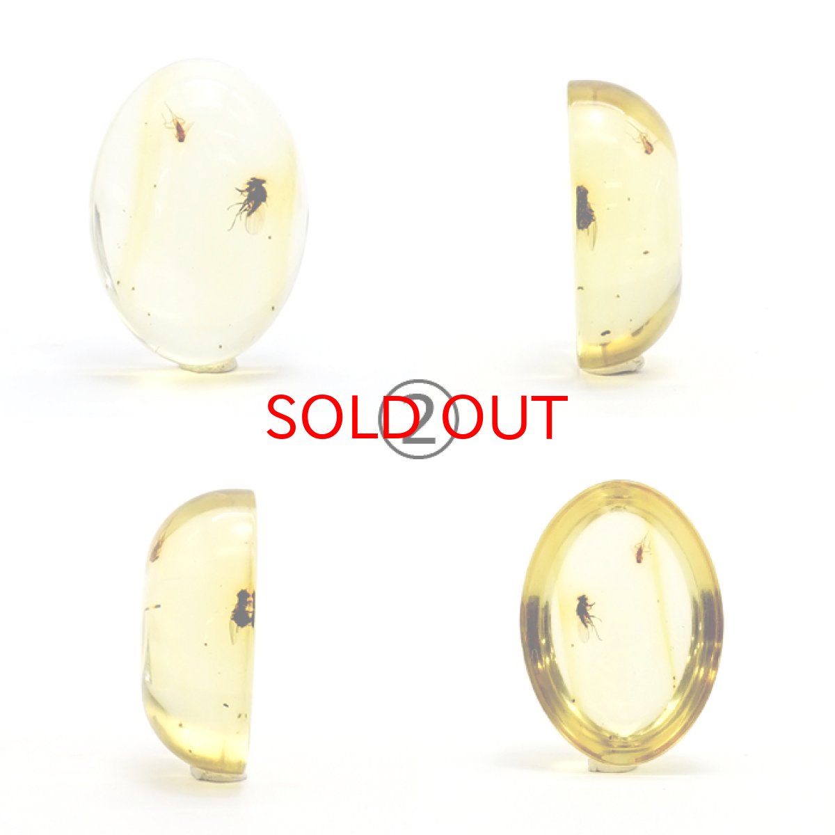 画像4: 【一点物】天然琥珀 天然カリビアンアンバー ルース【虫入り】 カラビ海周辺産 ゴールド 長寿 太陽 天然石 パワーストーン カラーストーン (4)