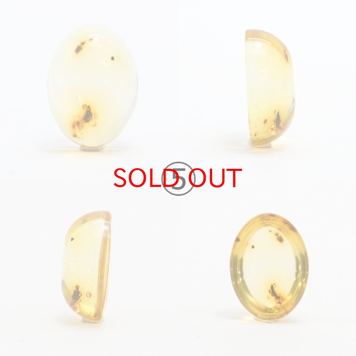 画像10: 【一点物】天然琥珀 天然カリビアンアンバー ルース【虫入り】 カリブ海周辺産 ゴールド 長寿 太陽 天然石 パワーストーン カラーストーン (10)