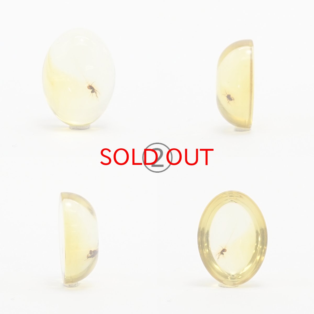 画像4: 【一点物】天然琥珀 天然カリビアンアンバー ルース【虫入り】 カリブ海周辺産 ゴールド 長寿 太陽 天然石 パワーストーン カラーストーン (4)