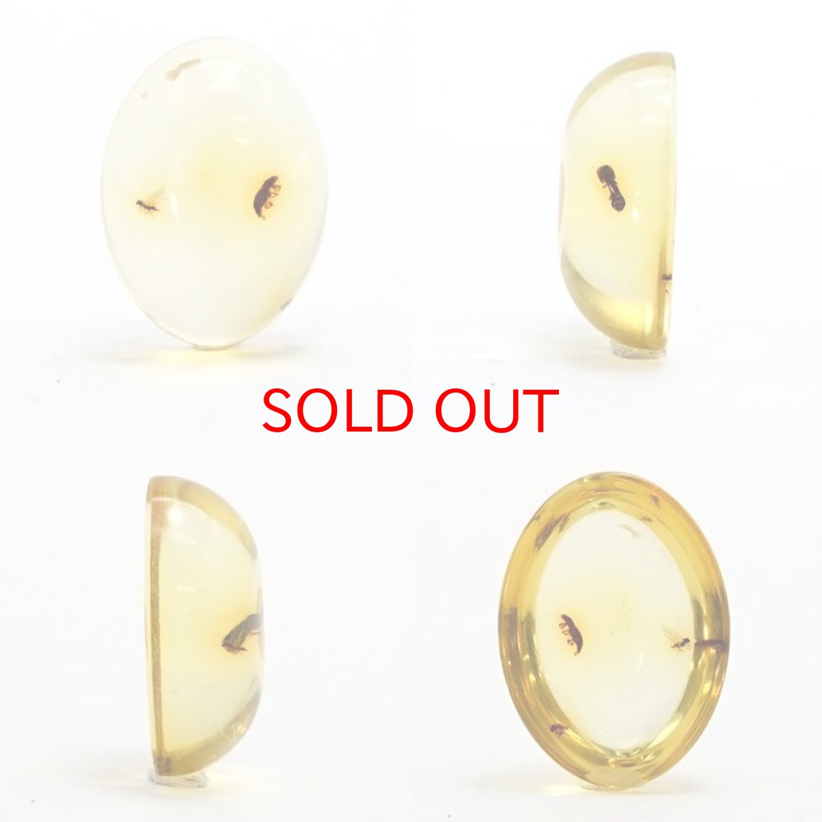 画像2: 【一点物】天然琥珀 天然カリビアンアンバー ルース【虫入り】 カリブ海周辺産 ゴールド 長寿 太陽 天然石 パワーストーン カラーストーン (2)