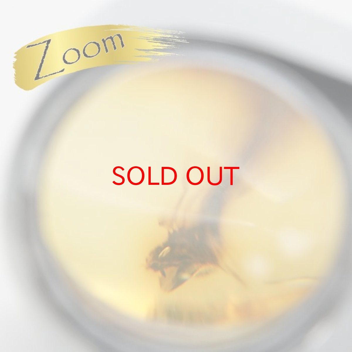 画像7: 【一点物】天然琥珀 天然カリビアンアンバー ルース【虫入り】 カリブ海周辺産 ゴールド 長寿 太陽 天然石 パワーストーン カラーストーン (7)