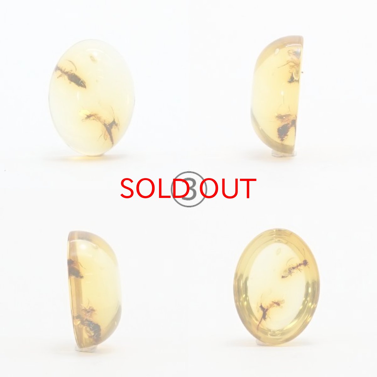 画像6: 【一点物】天然琥珀 天然カリビアンアンバー ルース【虫入り】 カリブ海周辺産 ゴールド 長寿 太陽 天然石 パワーストーン カラーストーン (6)